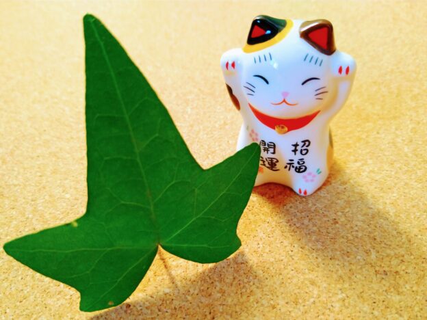 自信につながった？1月4～5日の競馬予想